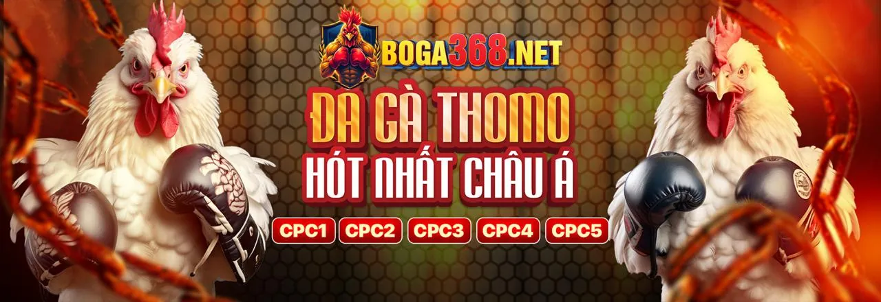Bảo mật nâng cao vi68 login