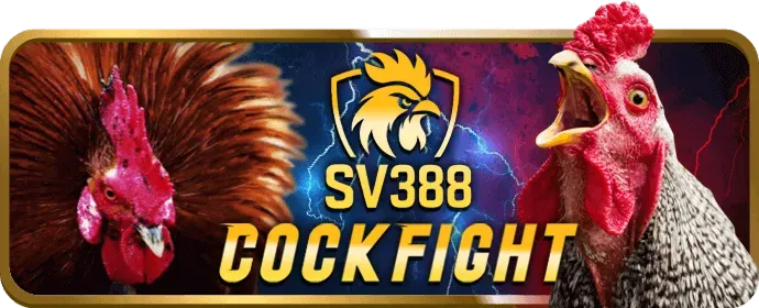 Hỗ trợ khách hàng chuyên nghiệp 24/7
